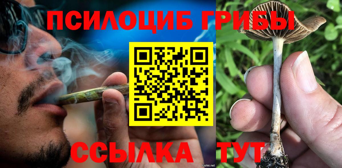Псилоцибиновые грибы ЛСД  Вход с VPN  даркнет сайт  Псилоцибиновые грибы Cubensis  Губаха 