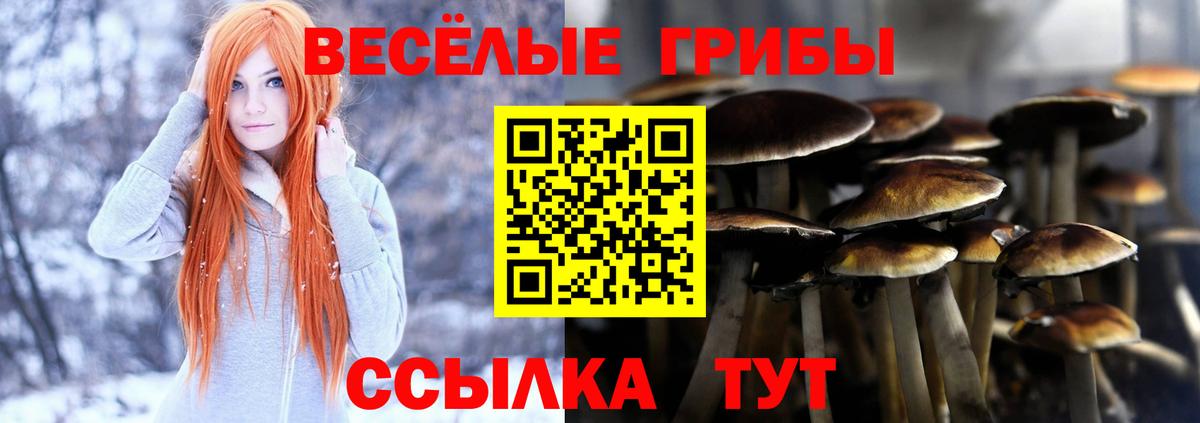 Псилоцибиновые грибы Magic Shrooms Губаха